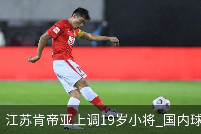 江苏肯帝亚上调19岁小将 国内球员注册达16人